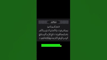 سورة الروم ١٧-١٩ | محمد الفقيه | Surah Ar-Rum 17-19 | Mohamed Alfakeh
