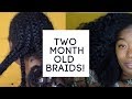My Two Month Old Braids Routine | Natural Hair