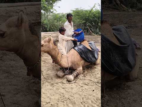 كان هذا الطفل الذي هرب متمسك ا بقطعة قهوة واحدة فقط