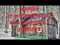 CC episode 490 Diaries of Grandfather/trapper who was saved by a bigfoot in 1915