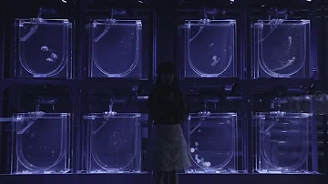 未明の君と薄明の魔法 Mp3