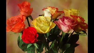 Андрей Шпехт  Эти  розы только для тебя! These roses are just for you!
