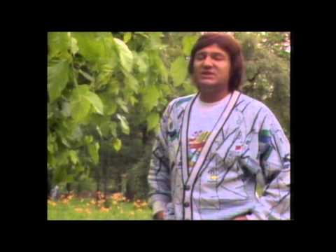 Saban Saulic - Voleo sam samo tebe - (Official Video 1989)