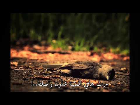سمير صبيح شفت عصفور ميت كل جرح مابي