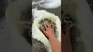 Extremely Satisfying Stomping on Sea Foam ASMR #shorts