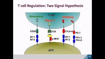 IQB Crash Course October 2019 Dr. Stephen Burley