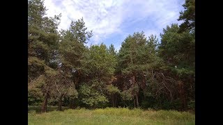 Сосенки. Карачуновское водохранилище. Стоит побывать.