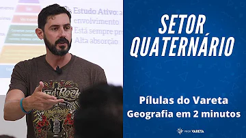 O que é o setor quaternário e Quinário da economia explique esse conceito?