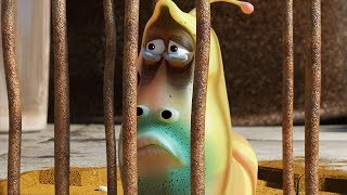 larva caged in cartoon movie cartoons for children larva cartoon larva official