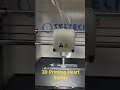 3D Printing Heart Stents at SYSTECH
