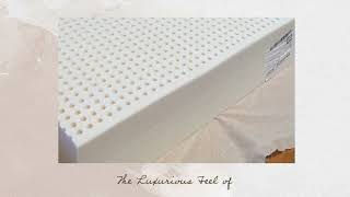 Latexpedic Mattresses San Francisco Natural Bed Gols Certified Organic Latex Mattress Headquarters