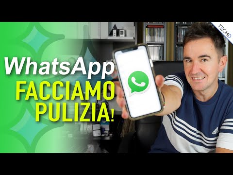 Whatsapp - Facciamo Pulizia sul nostro iPhone!