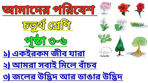 Amader Poribesh Class 4 Page 3-6 | আমাদের পরিবেশ | চতুর্থ শ্রেণি  @ClassesofPradyutSir