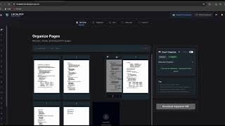 How to Organize PDF Pages Like a Pro (AI Blank Page & Duplicate Detection)
