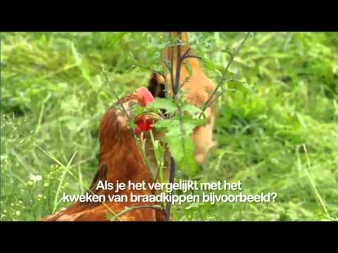 Bio zoekt boer