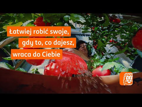 Łatwiej robić swoje, gdy to, co dajesz, wraca do Ciebie | Visa Oferty