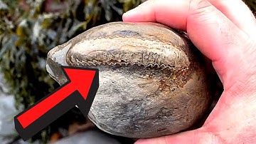 FINDING AMMONITE NODULES - Fossil Hunting