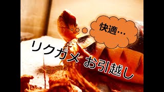 【リクガメ 飼育】SANKOパンテオンの組立が簡単すぎた！