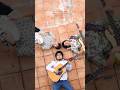 柔らかな風が吹く地獄【ピノ/ズーカラデル】 #music #band #jpop