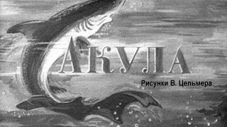 Акула (1950)