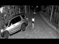 Las cámaras de seguridad captaron esto y nadie lo puede explicar ! 7 videos inexplicables !