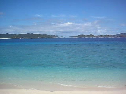 ���Ó��̃j�V�l���f�b�L�����]