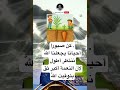 كن صبورا أحيانا يجعلنا الل ه ننتظر أطوللأن النعمة أكبر ثق بتوقيت الل ه 