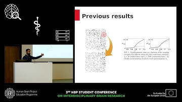 Tlaie Boria Alejandro - Long range interactions in neural networks: An initial excursion