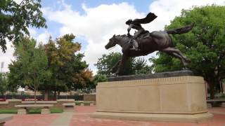 Texas Tech Online Masters Benefits