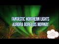 Fantastic aurora borealis  dancing northern lights  norway  mari rasmussen  view from our house