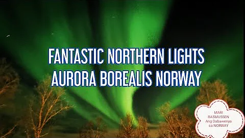 FANTASTIC AURORA BOREALIS | DANCING NORTHERN LIGHTS | NORWAY | MARI RASMUSSEN | VIEW FROM OUR HOUSE.