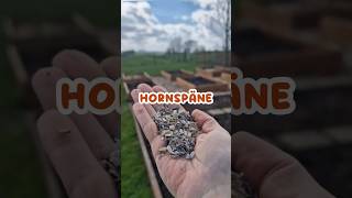 Warum Hornspäne im Garten verwenden? 🤔 #Garten #Gemüsegarten #Gemüsebeet #Gartentipp #Beet #Dünger