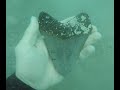 3 mins of me picking up megalodon teeth -- Scuba diving in Venice, FL
