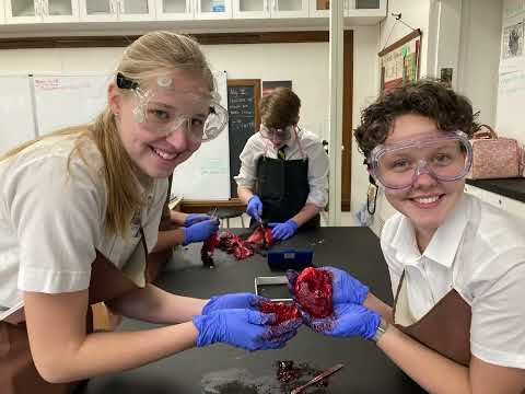 Chesterton Academy of the St. John Paul II Classical School:  2022-23 (Year 2)