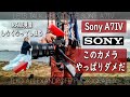 Sony A7IV はやっぱり駄目なカメラだね！シャッター押す前に 「RAW現像」ができてしまうので、あとから写真触らなくてもいい！ Sigma 24mm F/2 を使ったポートレート撮影