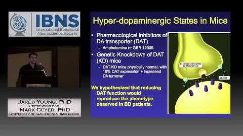 IBNS 2014 Keynote: Jared Young