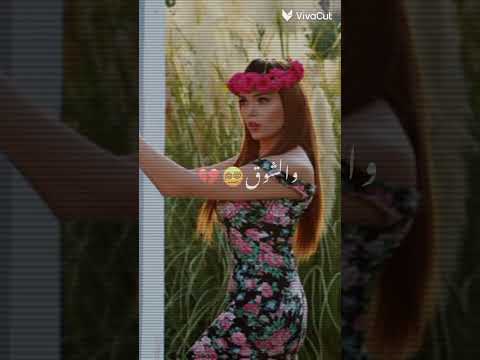 تصميم ل لينا دياب
