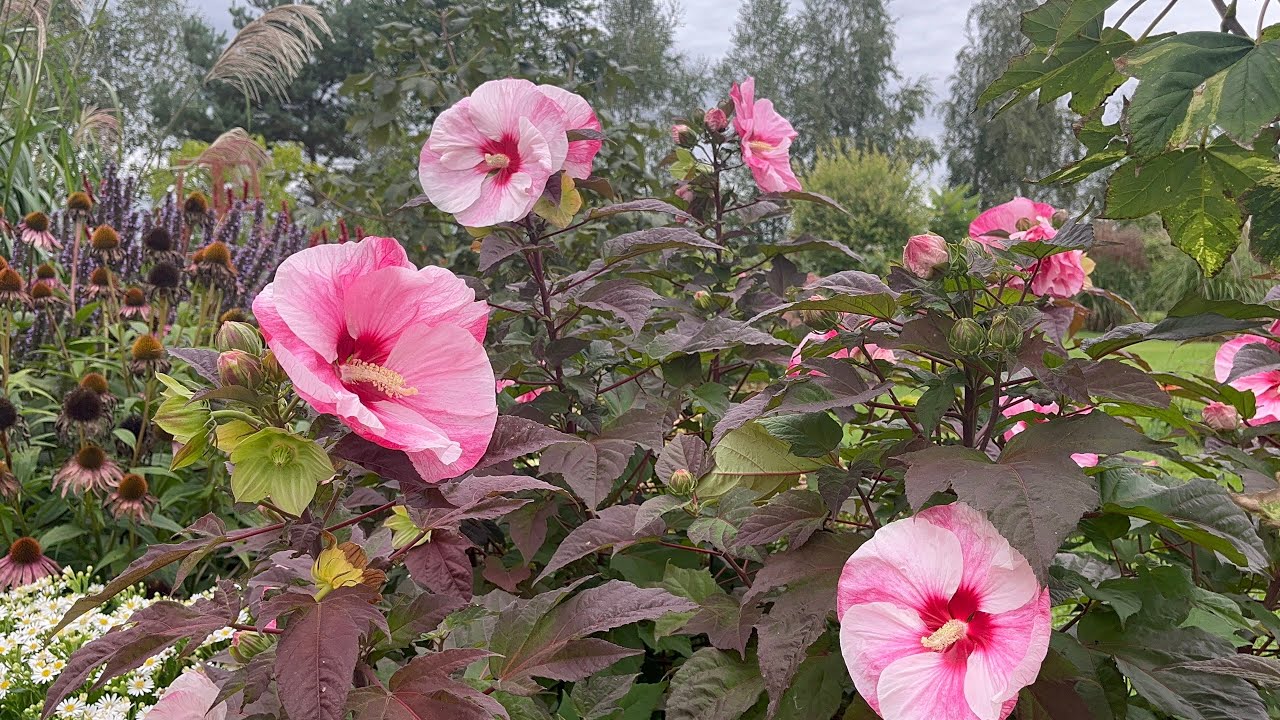 Podsumowanie roku 2025🥳🎊❤️