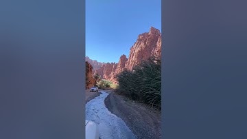 تلاوة رائعة من سورة فاطر للشيخ د.ياسر الدوسري