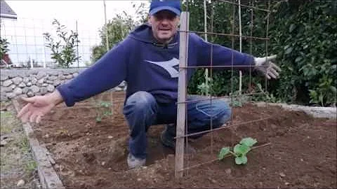Come progettare un piccolo orto in giardino?