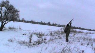 Охота на лис в Крыму