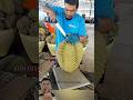 He cut open the durian very quickly and professionally. #useful #works #agrifuture #farming #food