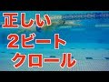 【要注意】2ビートでよくある間違いを解説！ 水泳