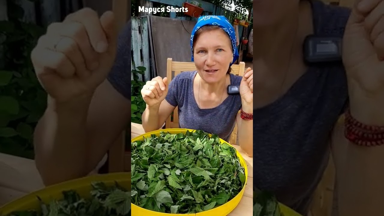 МОЗГИ ВСТАНУТ НА МЕСТО