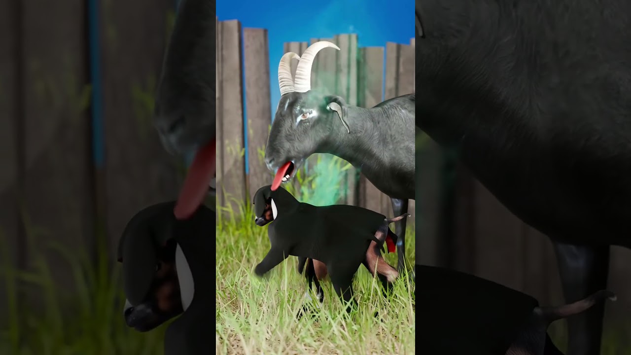 Goat Mother’s Secret Bond