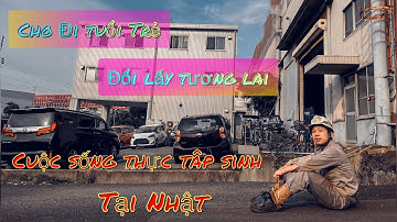 Cây Xương Rồng Vươn Lên Từ Đất Nhật - Pin Ka Official