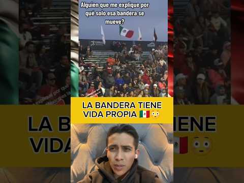 Por qué la