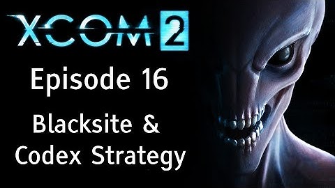 Blacksite and Codex Hunting and Strategy - Let
