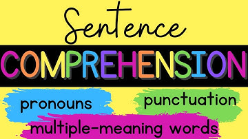 Sentence Comprehension: Pronouns, Multiple-meaning Words, Punctuation
