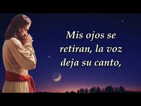 🌟Oración de la